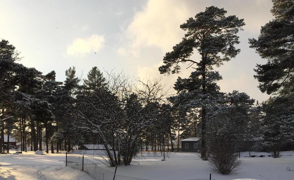 Stf Hostel Laerbro/Grannen ภายนอก รูปภาพ